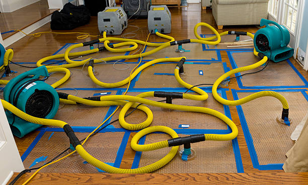 Professional Water Damage Restoration technician working in Maywood, IL